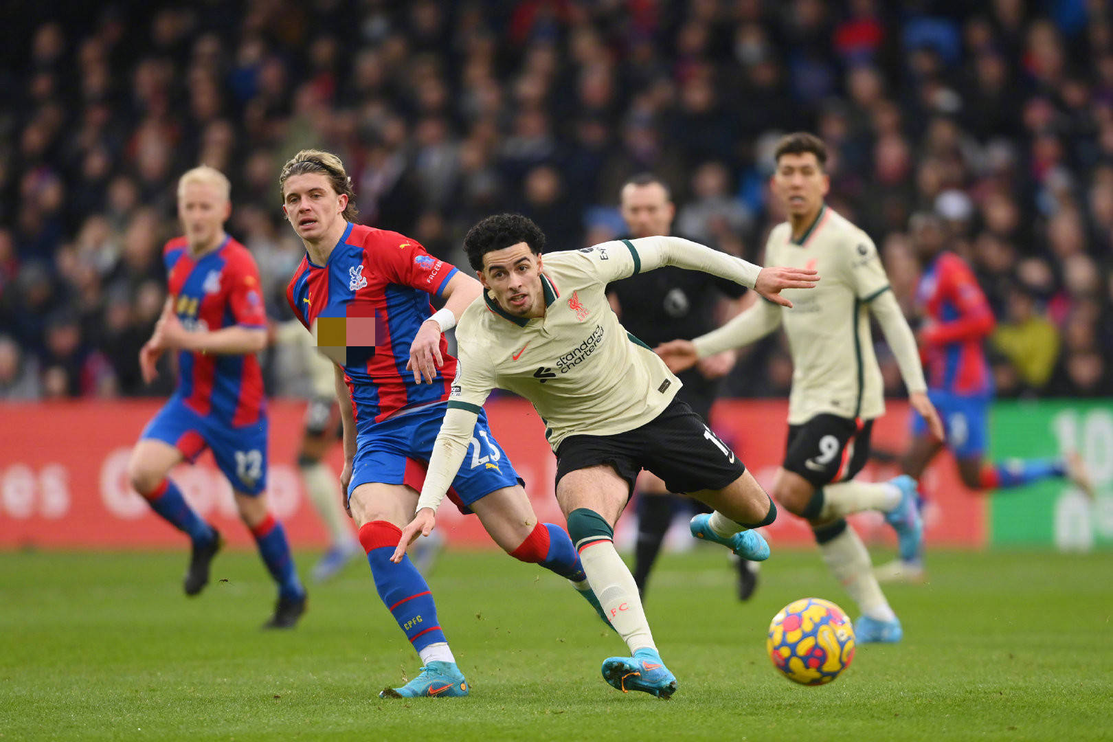 间严格遵循 间严格遵循